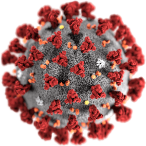 coronavirus.png